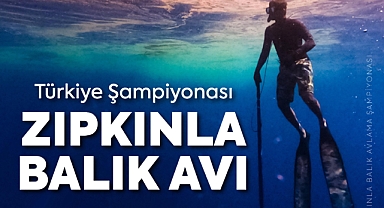Darıca'da Zıpkınla Balık Avı Şampiyonası heyecanı yaşanacak