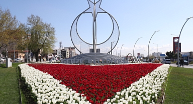 Gebze’de Ekipler; Daha Yeşil Bir Şehir İçin 2024’te Sahadaydı